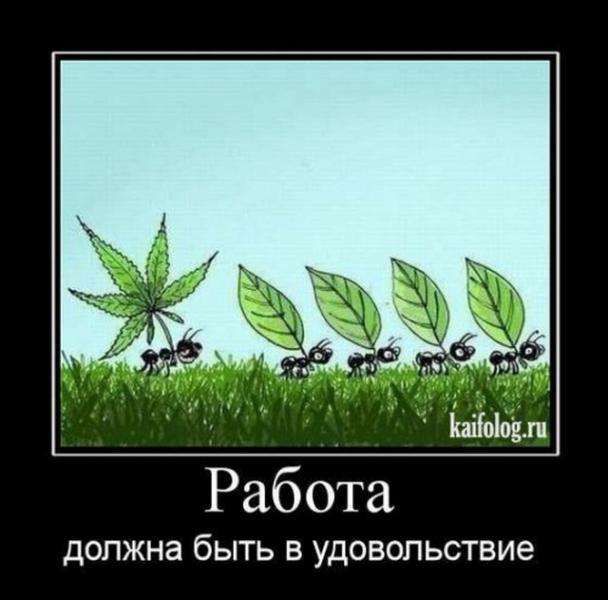 1491382721 zhiznennye demotivatory xaxa net.ru 2